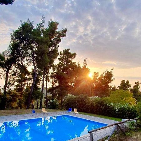 Nikol Villa Elani Siviri Bagian luar foto