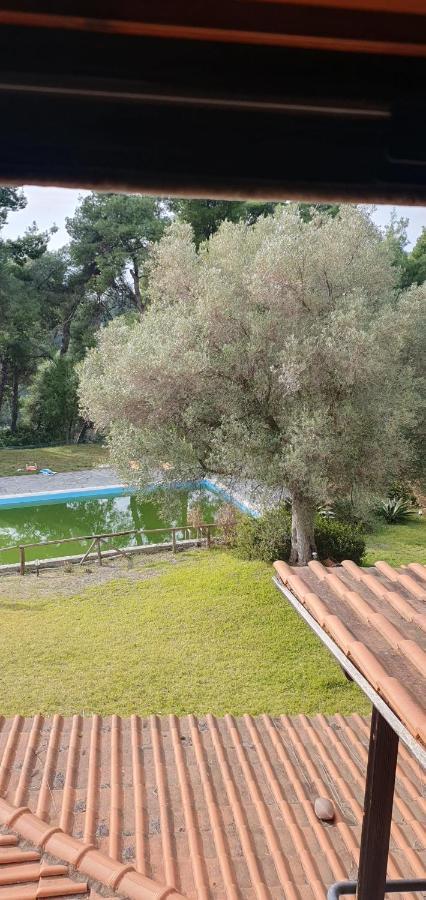 Nikol Villa Elani Siviri Bagian luar foto